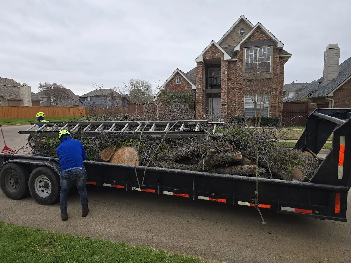 Expert Lot Clearing with proper safety equipment in Fanrock